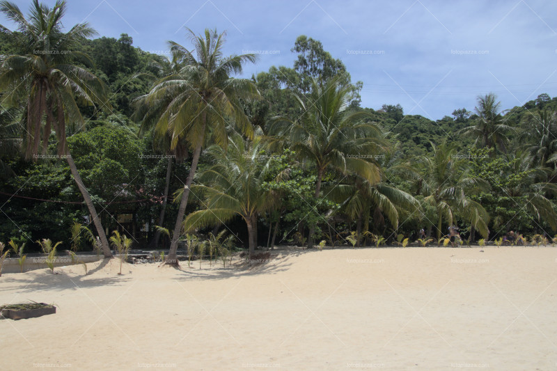 Beach, Vietnam