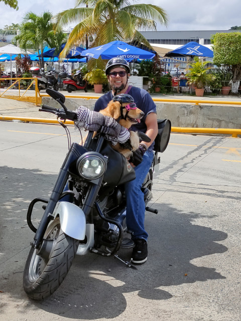 Biker with dog