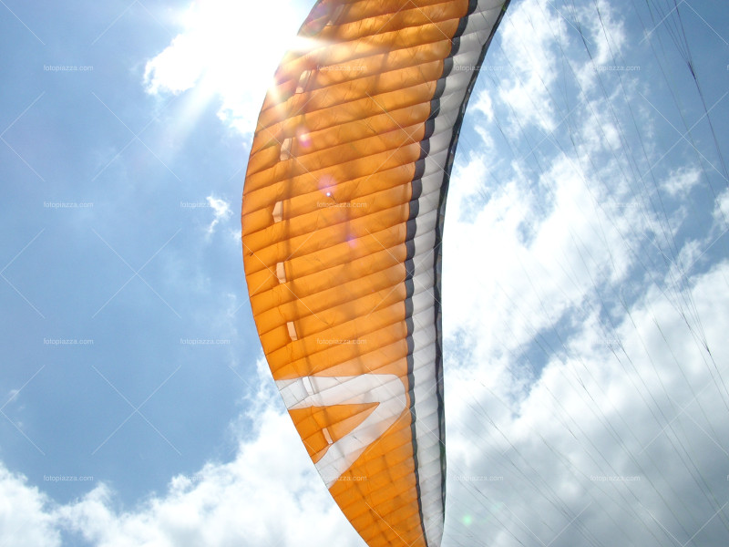 Paraglider