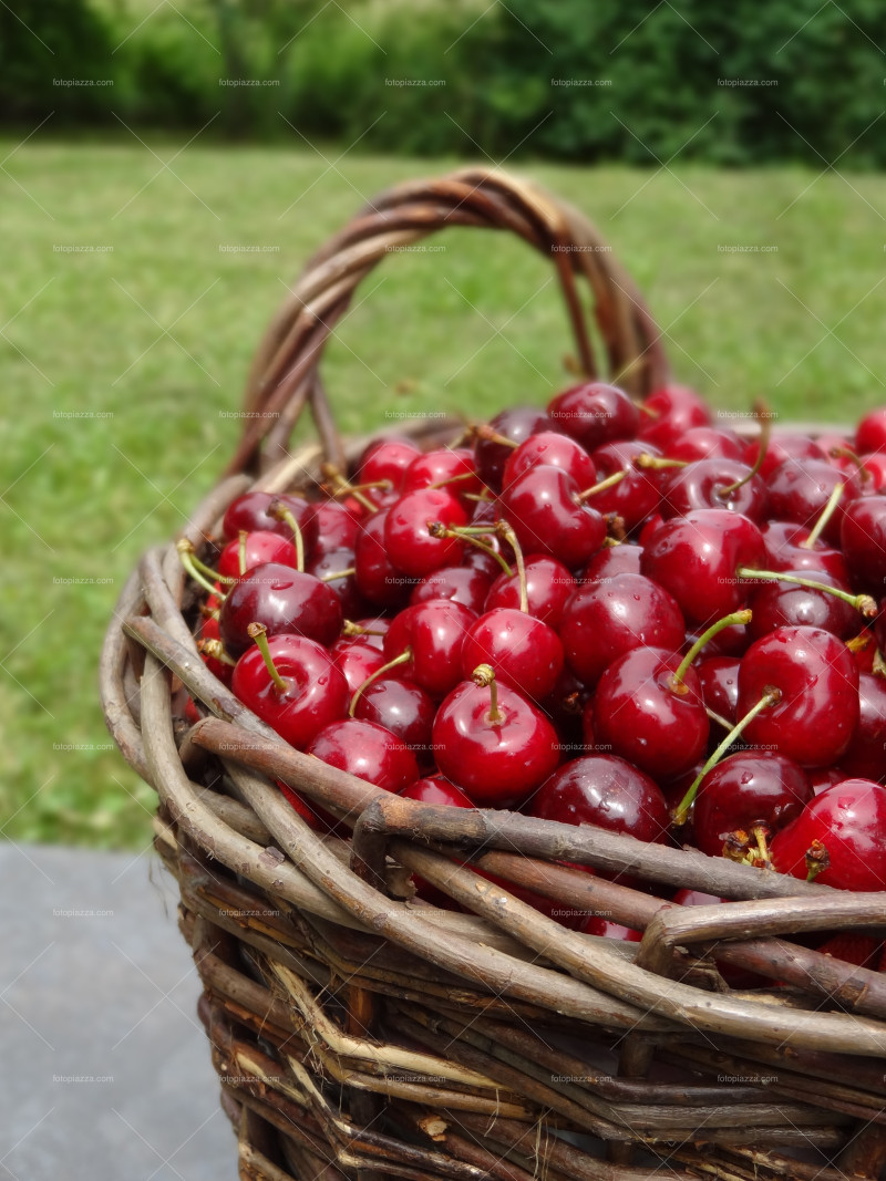 Cherries in basket