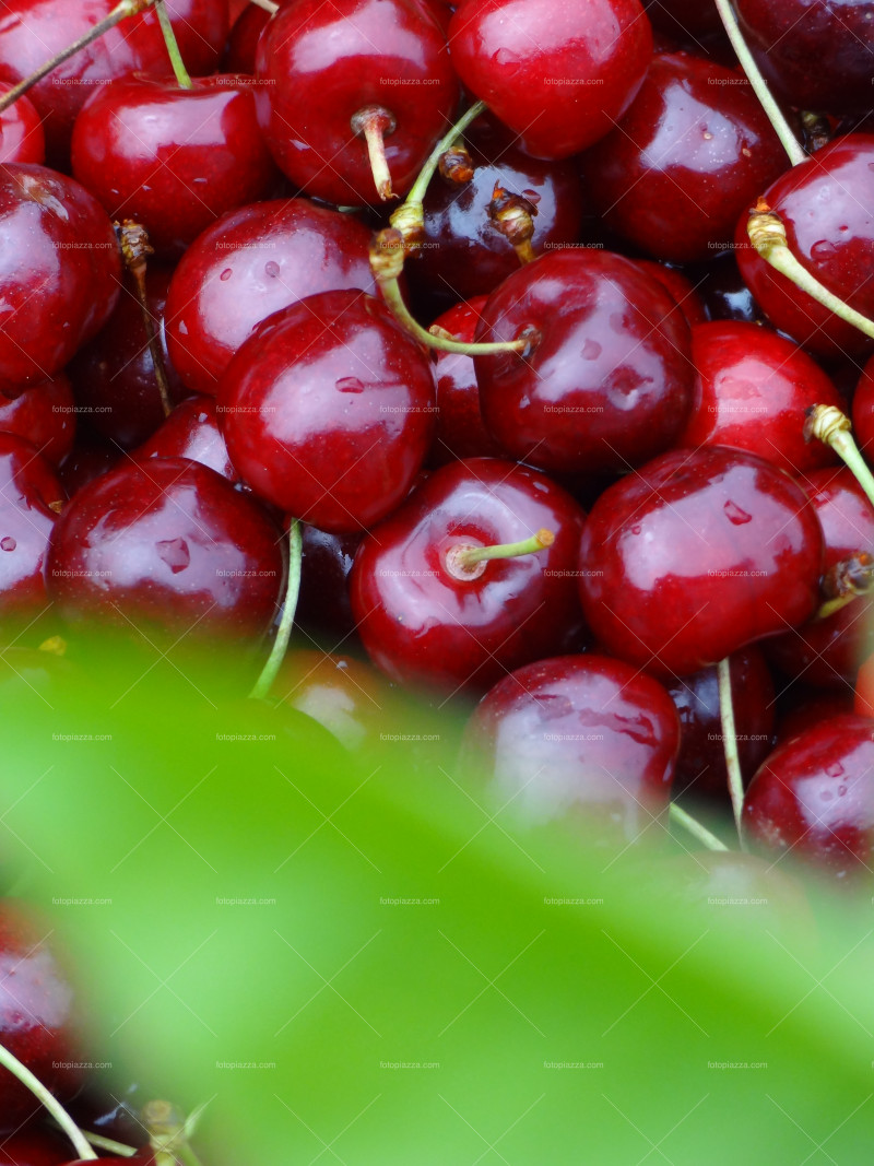 Cherries with green leaf