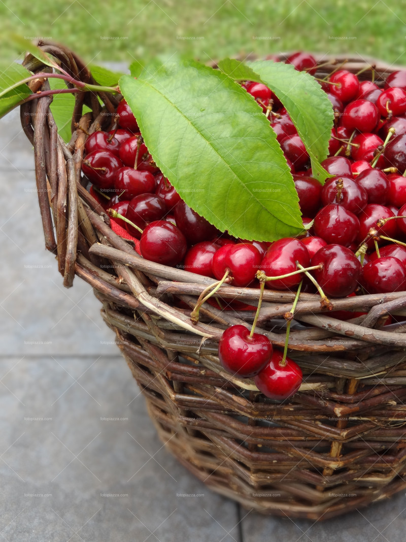 Cherries Basket