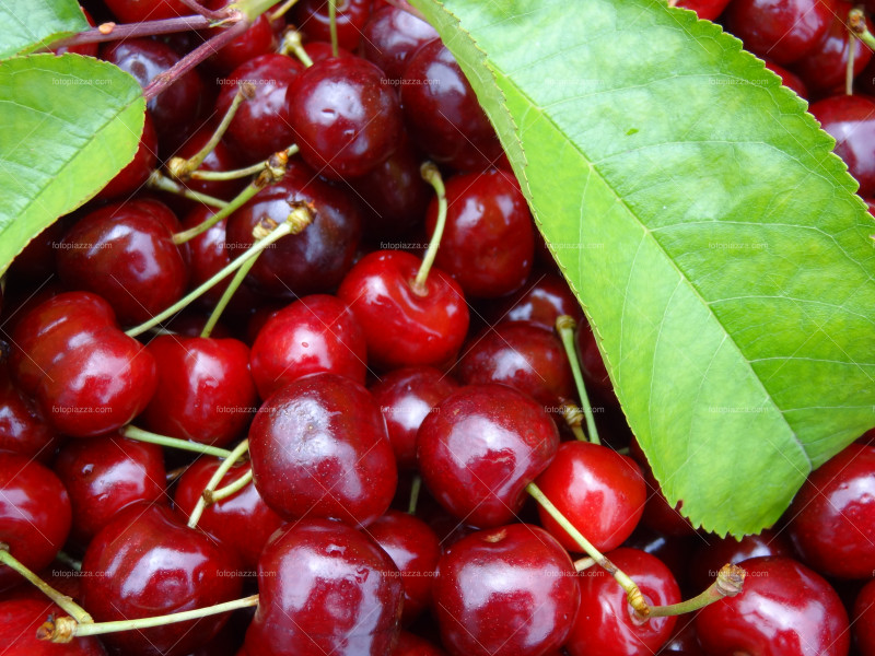 Cherries with Leaf